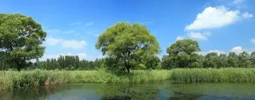 綠色產(chǎn)品認(rèn)證，人造板、衛(wèi)生陶瓷、家具、建材、快遞包裝等認(rèn)證